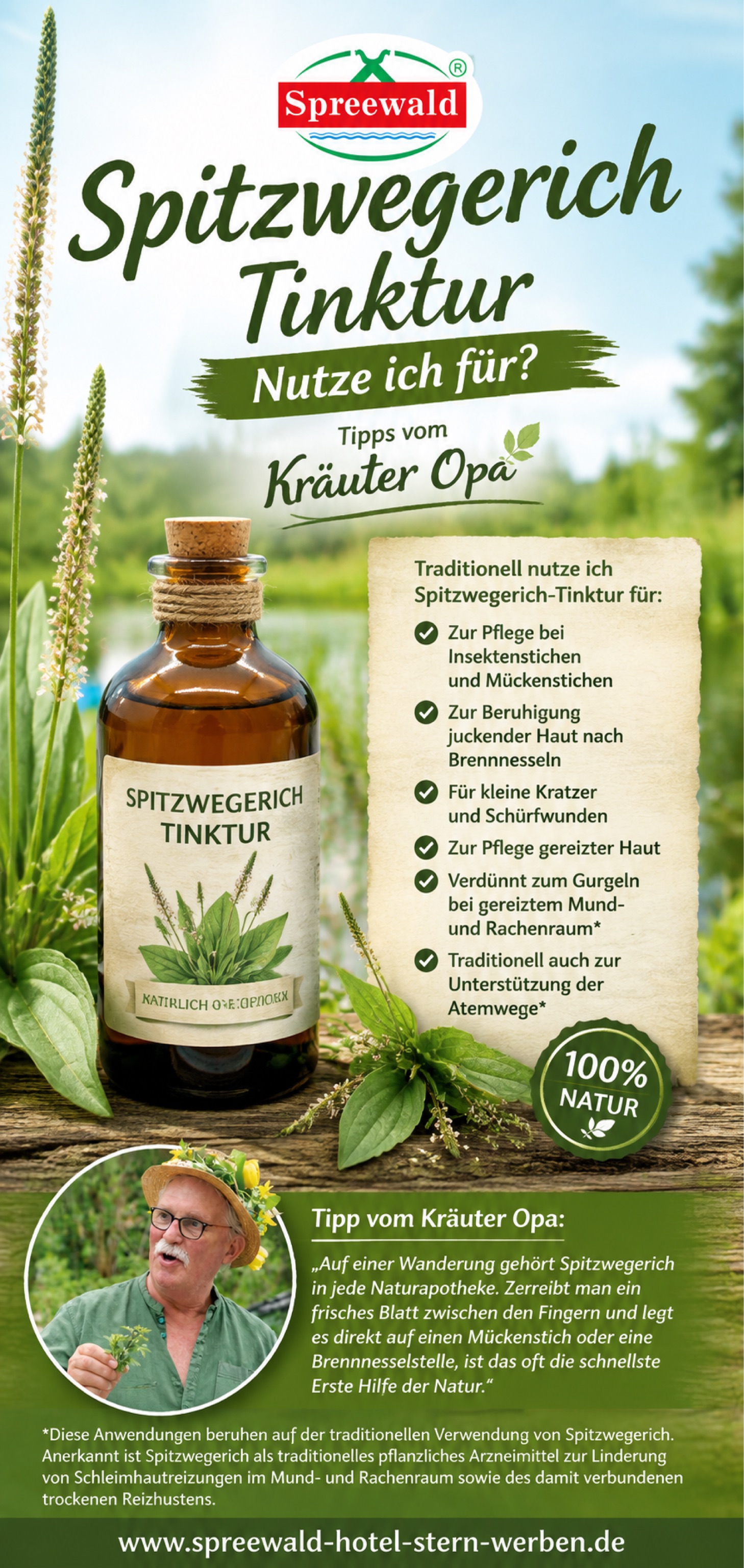 Spitzwegerich-Tinktur