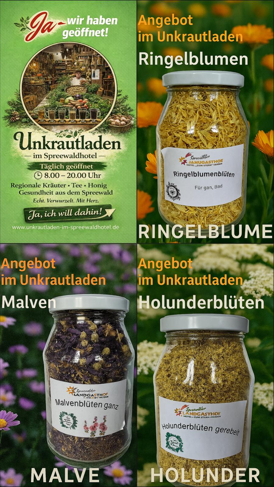 Regionale Kräuter • Tee • Honig • Gesundheit aus dem Spreewald