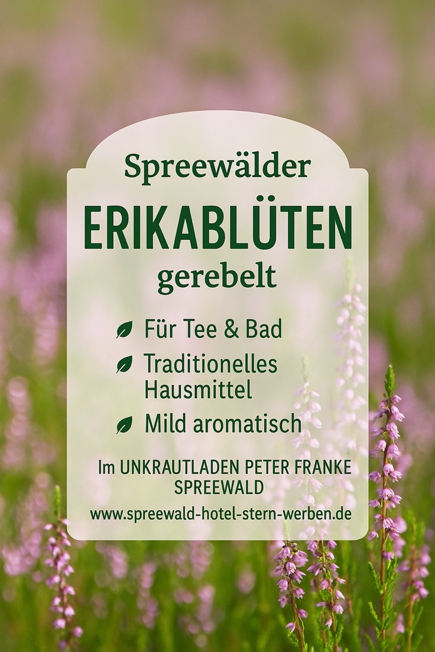 Neues aus der Spreewälder Heide Rund um Drachhausen