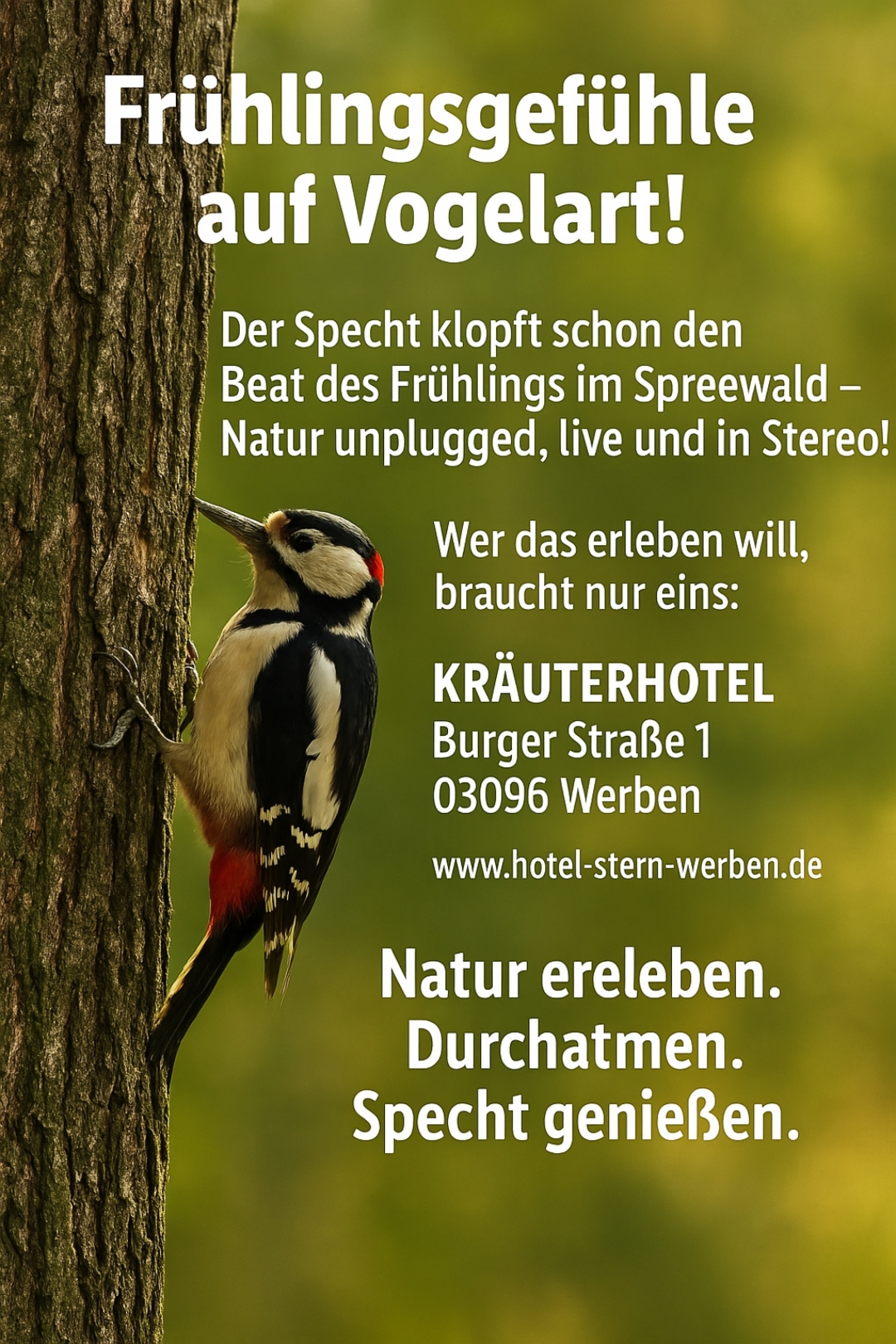 Frühlingsgefühle auf Vogelart!