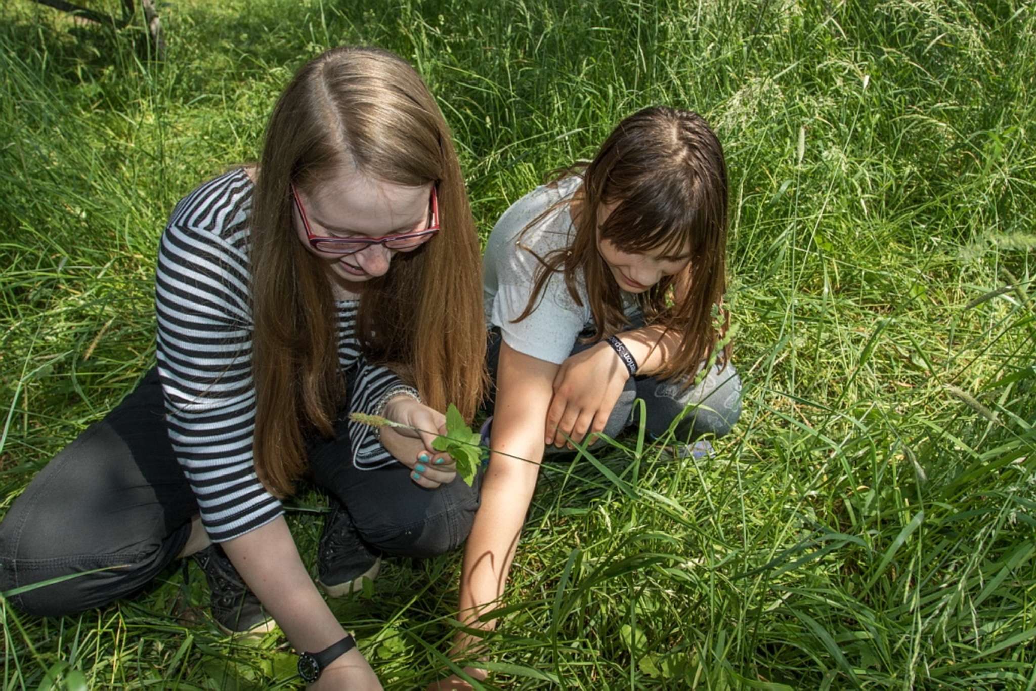 Kräuter Opa entdeckt die Wiese mit Kids